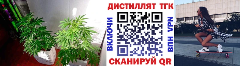 ТГК гашишное масло  Купить где  Горячий Ключ 