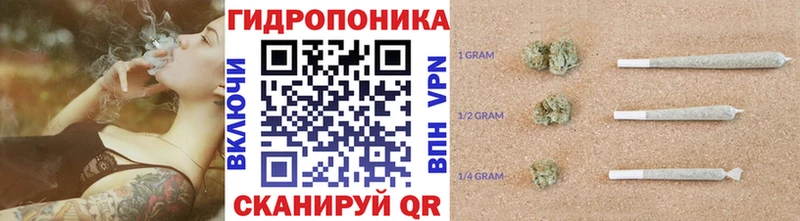 Купить где  Горячий Ключ  Каннабис индика 